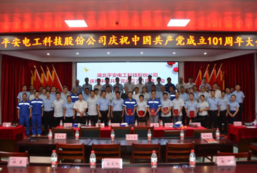 践行宗旨 牢记使命 奋力开创平安电工新时代党建工作新局面