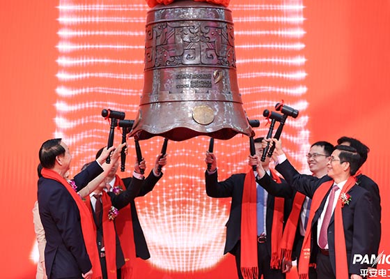 庆祝湖北平安电工科技股份公司成功在深交所主板上市