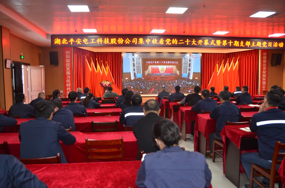 湖北平安电工集团集中收看中国共产党第二十次全国代表大会开幕会