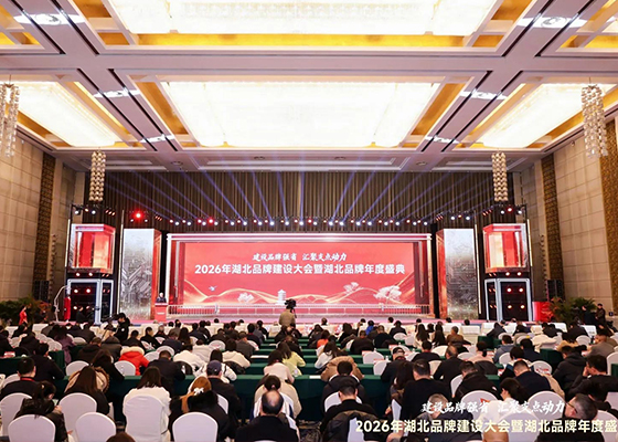 平安电工荣获“中国·湖北品牌价值证书”